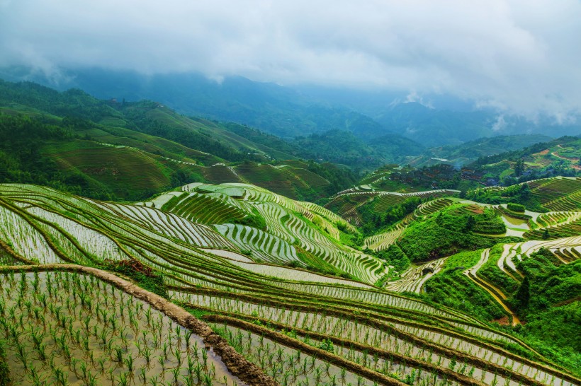 广西龙胜梯田风景图片(8张)