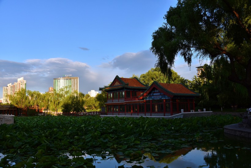 北京龙潭公园风景图片(20张)
