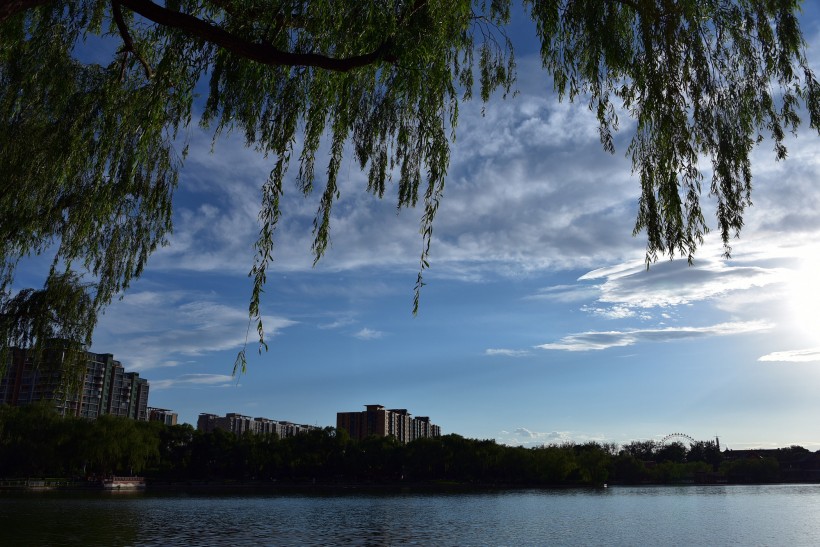 北京龙潭公园风景图片(20张)
