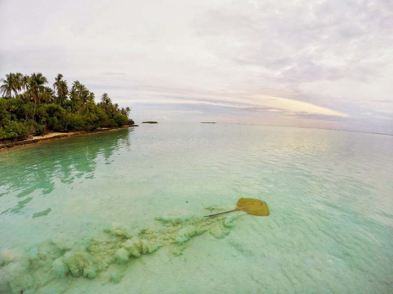 马尔代夫共和国清澈见底的海水图片(13张)