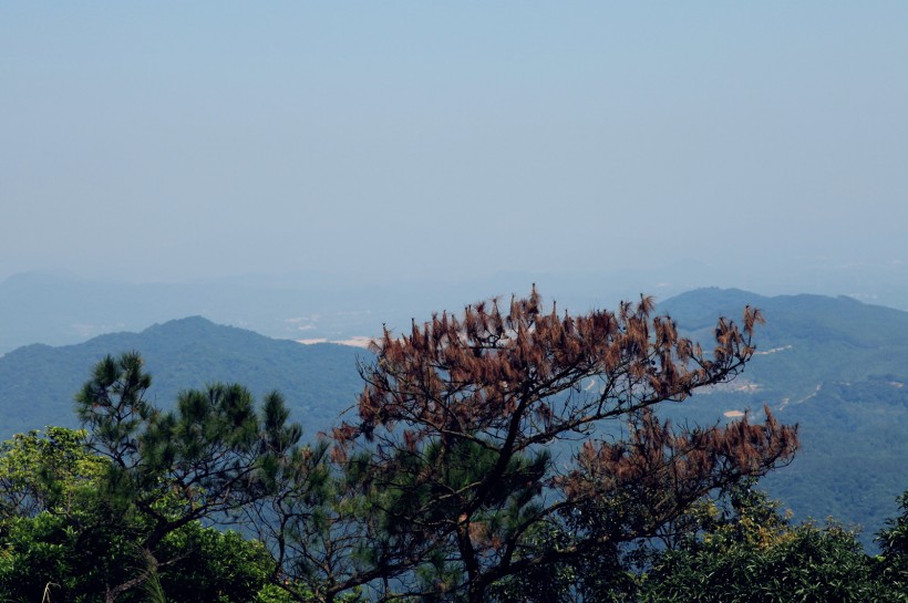 广东广州帽峰山风景图片(9张)
