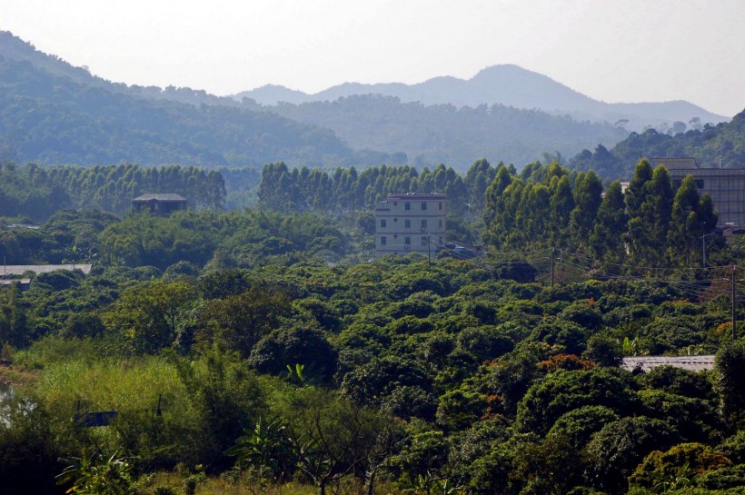 广州帽峰山风景图片(20张)