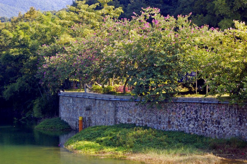 广州帽峰山风景图片(20张)