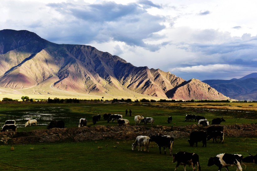 美丽的西藏风景图片(19张)