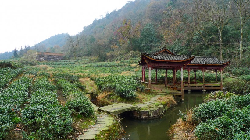 四川蒙顶山风景图片(14张)