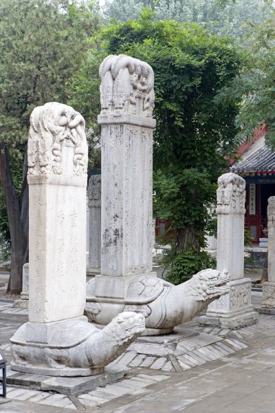 北京明十三陵石雕群图片(24张)