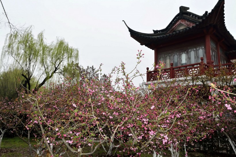 南京莫愁湖风景图片(17张)