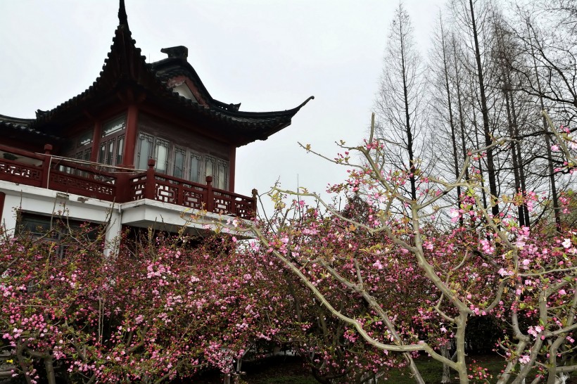 南京莫愁湖风景图片(17张)