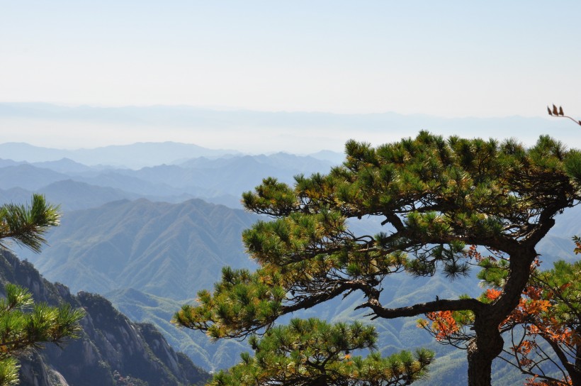 安徽黄山风景图片(20张)