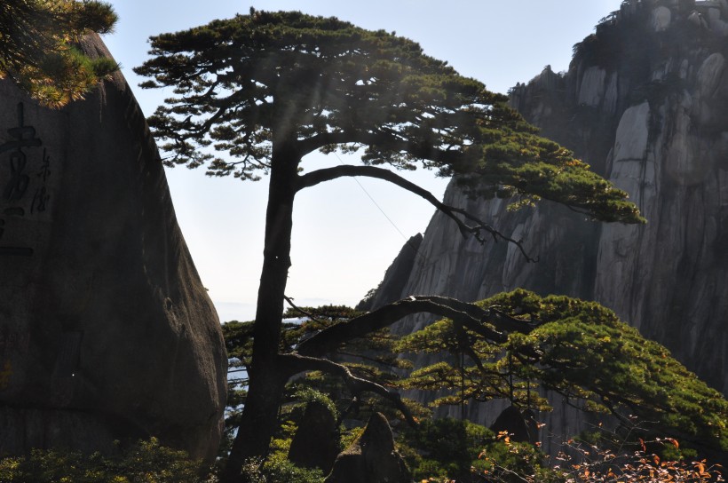 安徽黄山风景图片(20张)