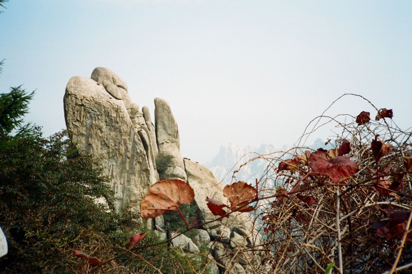 青岛崂山风景图片(16张)