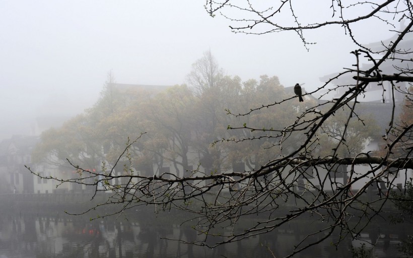 普陀山风景图片(16张)