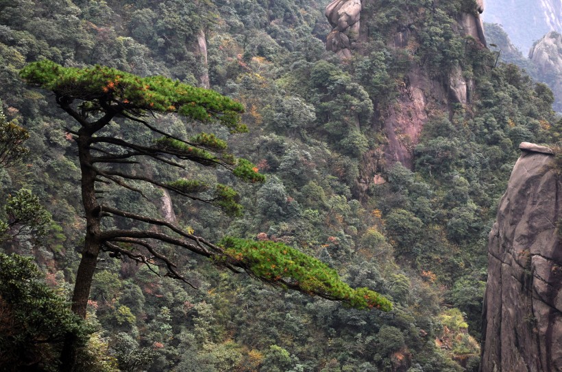 三清山风景图片(18张)