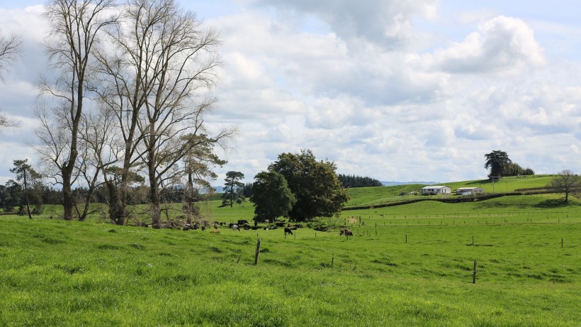 新西兰牧场风景图片(8张)