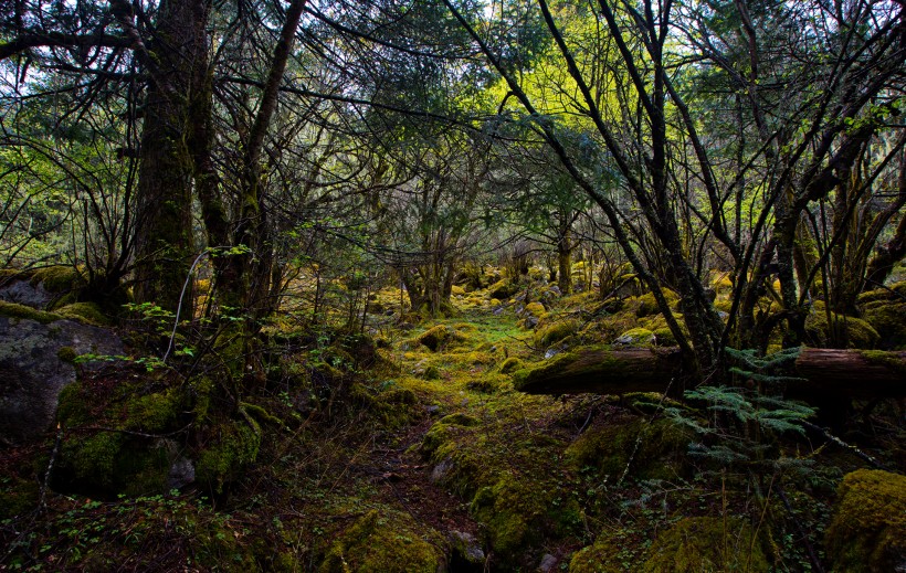 四川康定木格措风景图片(8张)