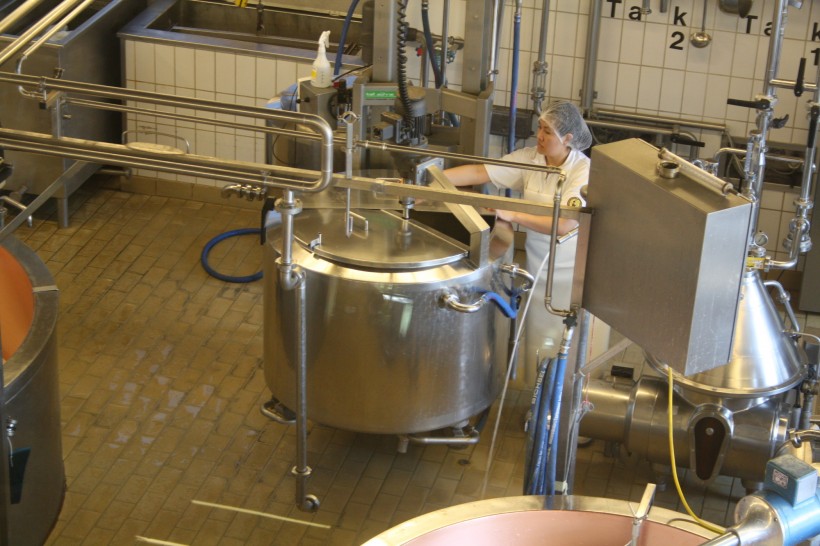 瑞士奶酪工厂图片(15张)