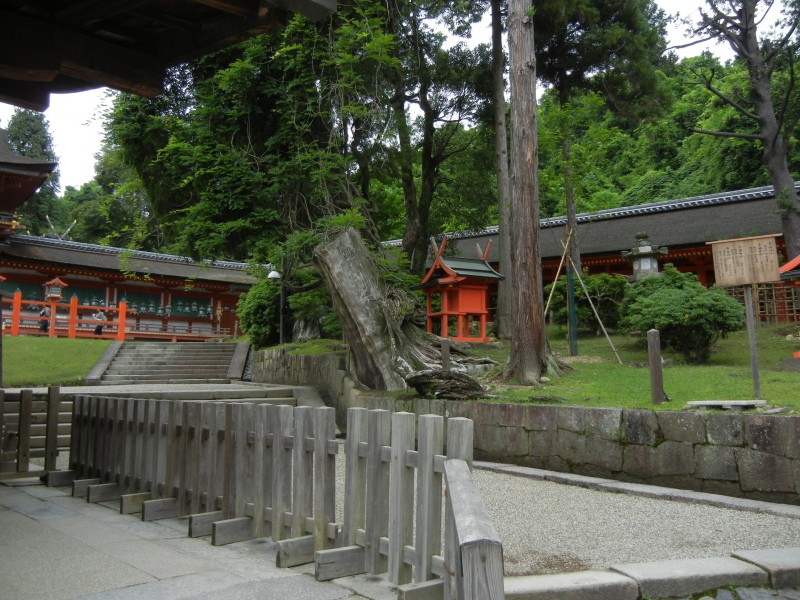 日本奈良风景图片(23张)