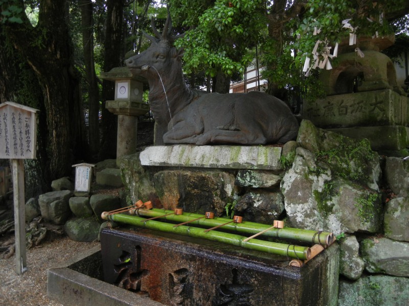 日本奈良风景图片(23张)