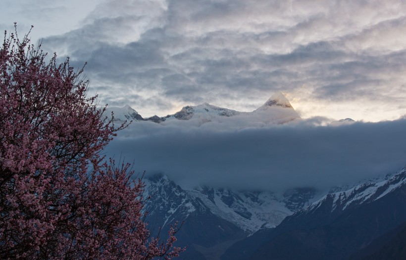 西藏林芝南迦巴瓦峰风景图片(14张)