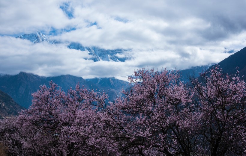 西藏林芝南迦巴瓦峰风景图片(14张)