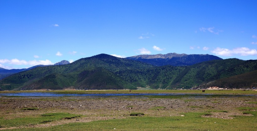 云南香格里拉纳帕海风景图片(13张)