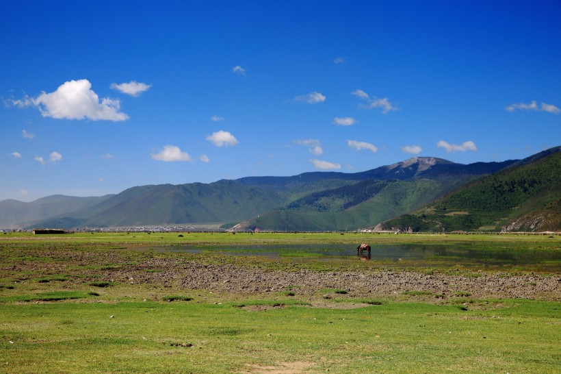 云南香格里拉纳帕海风景图片(13张)