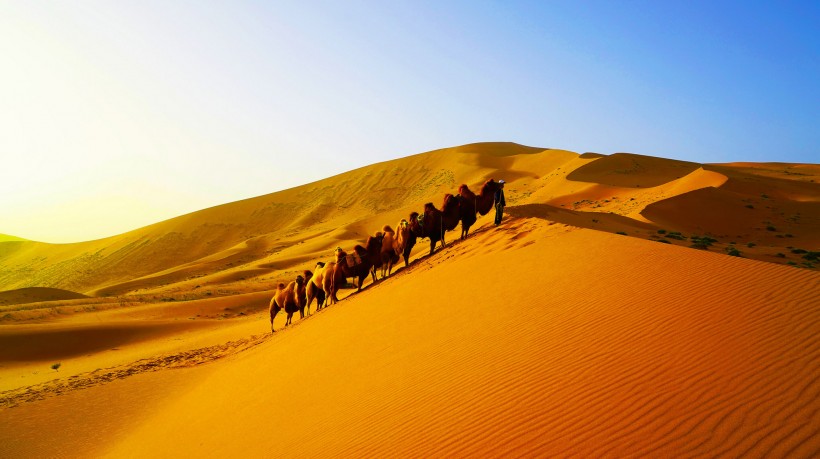 内蒙古巴丹吉林沙漠图片(7张)