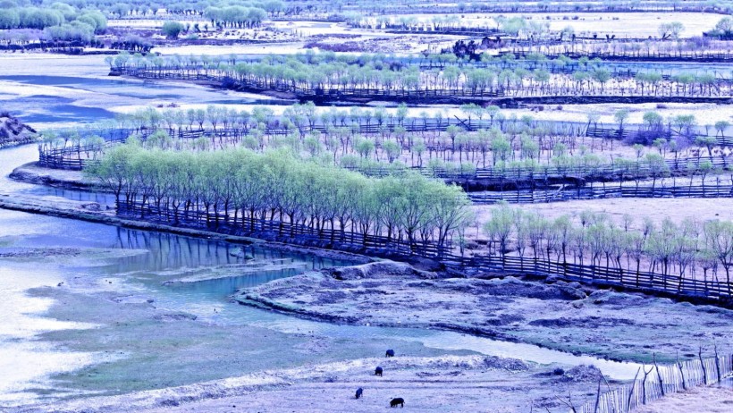 西藏尼洋河风景图片(11张)