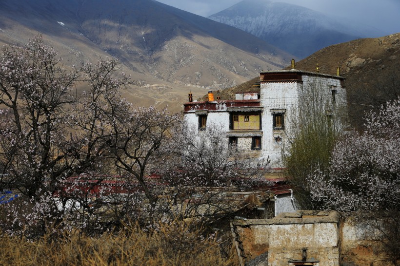 西藏帕崩岗风景图片(11张)