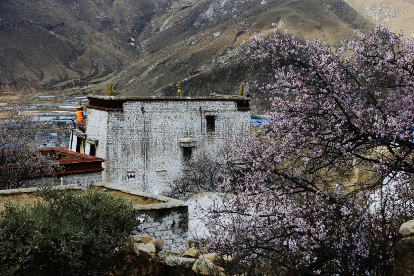 西藏帕崩岗风景图片(11张)