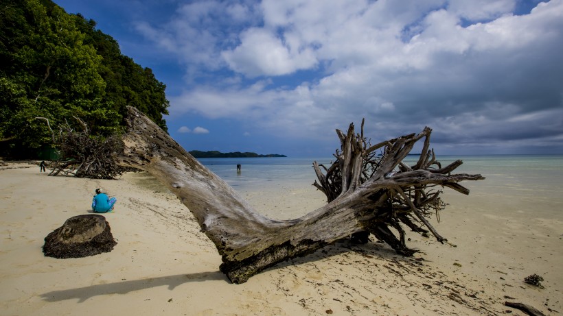 帕劳的海洋和沙滩风景图片(21张)
