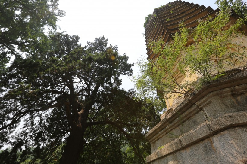 天津盘山风景图片(21张)