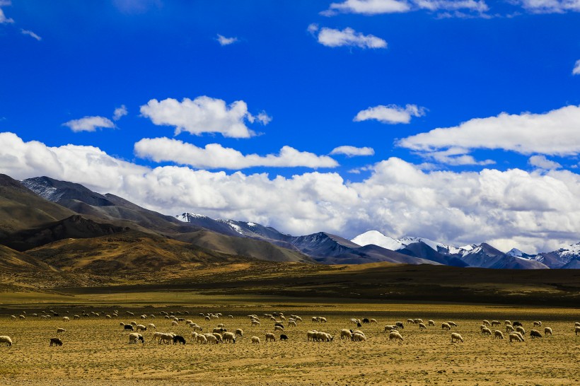 西藏普兰风景图片(11张)