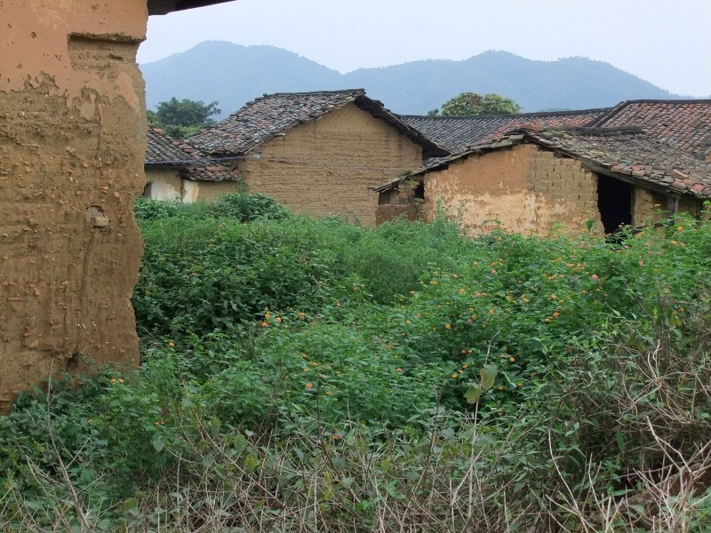 广东从化钱岗村风景图片(18张)