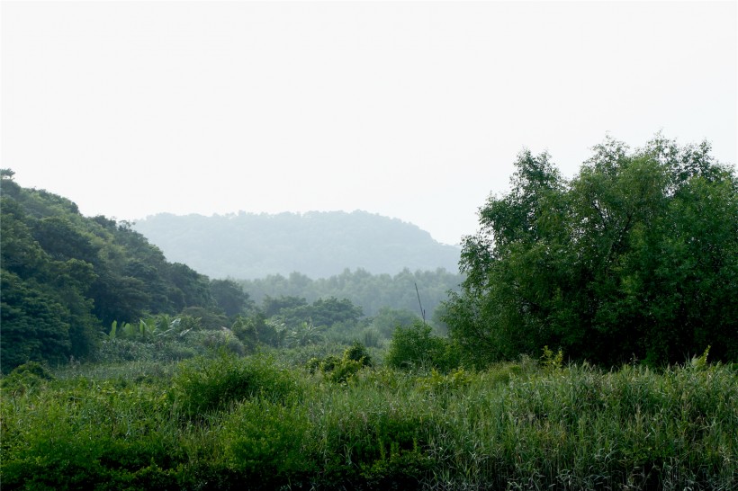 广东淇澳岛风景图片(22张)