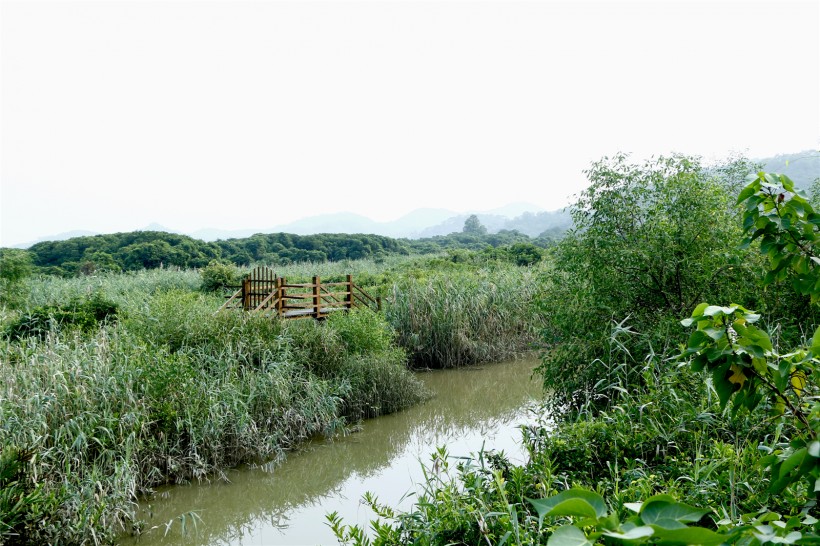 广东淇澳岛风景图片(22张)