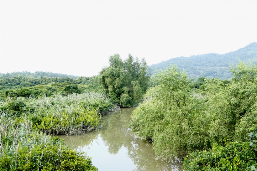 广东淇澳岛风景图片(22张)