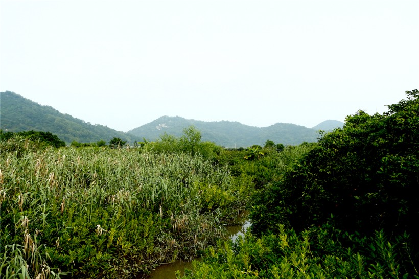 广东淇澳岛风景图片(22张)