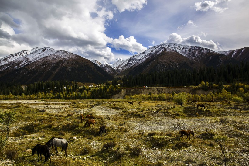 新疆天山乔尔玛风景图片(10张)