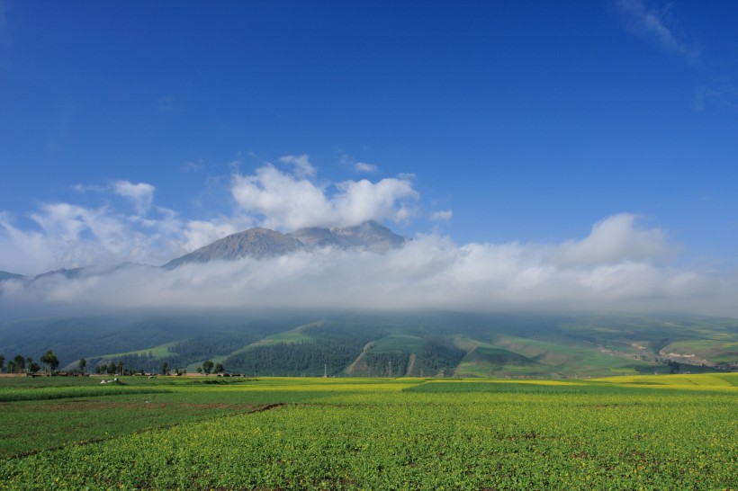 青海祁连山风景图片(16张)
