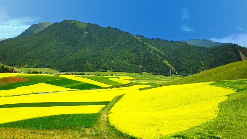 大美青海门源风景图片(21张)