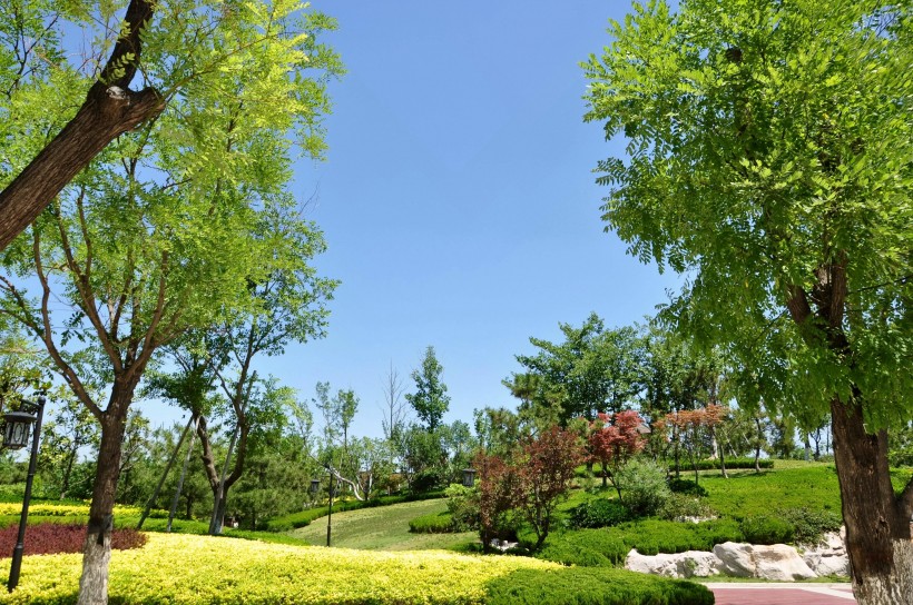 山东新泰清音公园风景图片(18张)