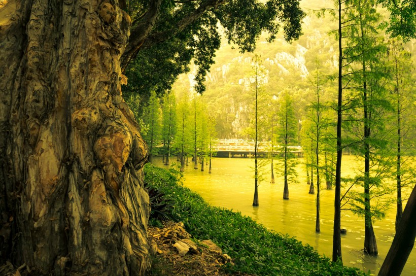 广东肇庆七星岩风景图片(12张)