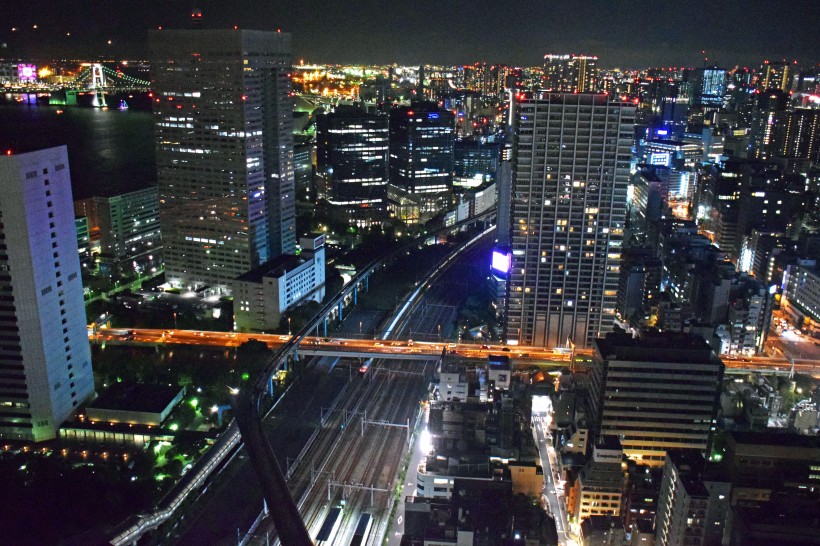 日本东京的夜景图片(11张)