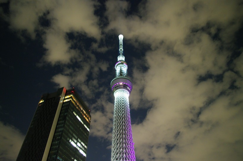 日本东京晴空塔的图片(11张)