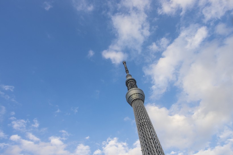 日本东京晴空塔的图片(11张)