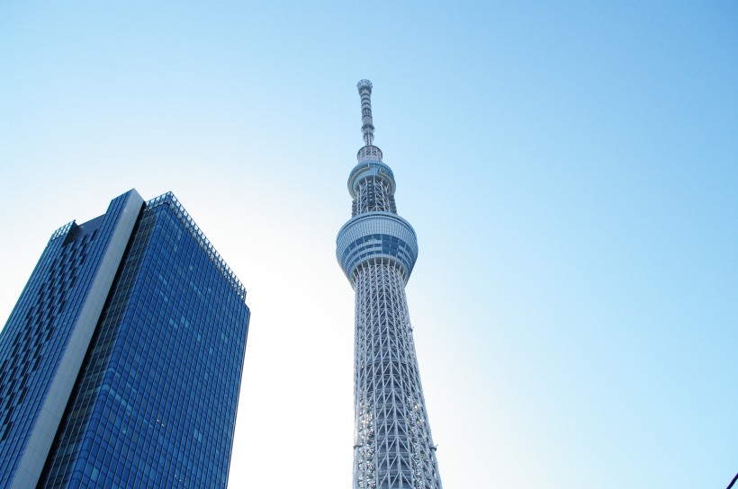 日本东京晴空塔的图片(11张)