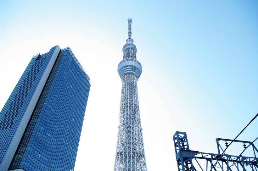 日本东京晴空塔的图片(11张)