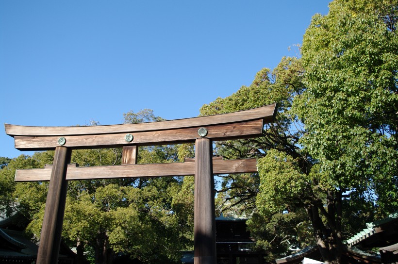 日本明治神宫的图片(11张)