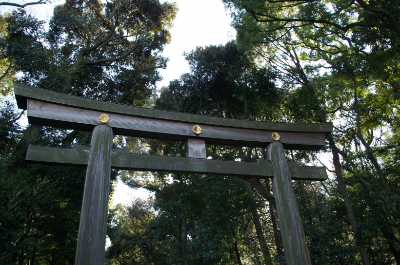 日本明治神宫的图片(11张)
